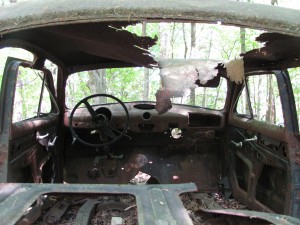 Rusting car in the woods