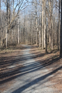 Trail at Hamilton Lakes Park, Greensboro, N.C.